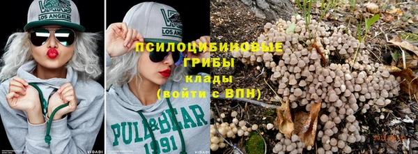 тгк Алексин