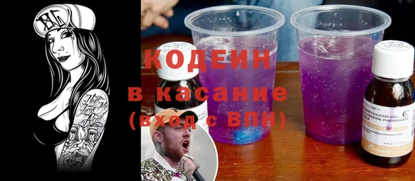 амф Гусев