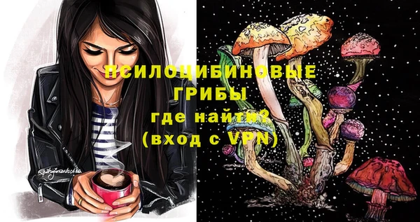 тгк Алексин