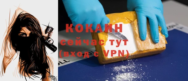 дмт Горнозаводск