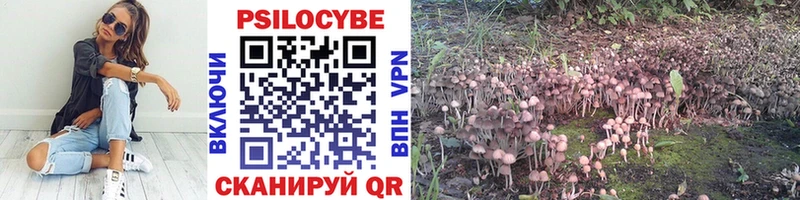 Псилоцибиновые грибы мицелий  Феодосия 