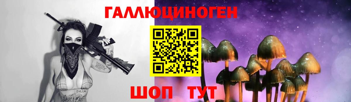 Галлюциногенные грибы MAGIC MUSHROOMS  Псилоцибиновые грибы Psilocybe  Вход с VPN  Феодосия 