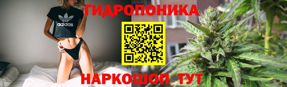 Шишки марихуана Amnesia Феодосия